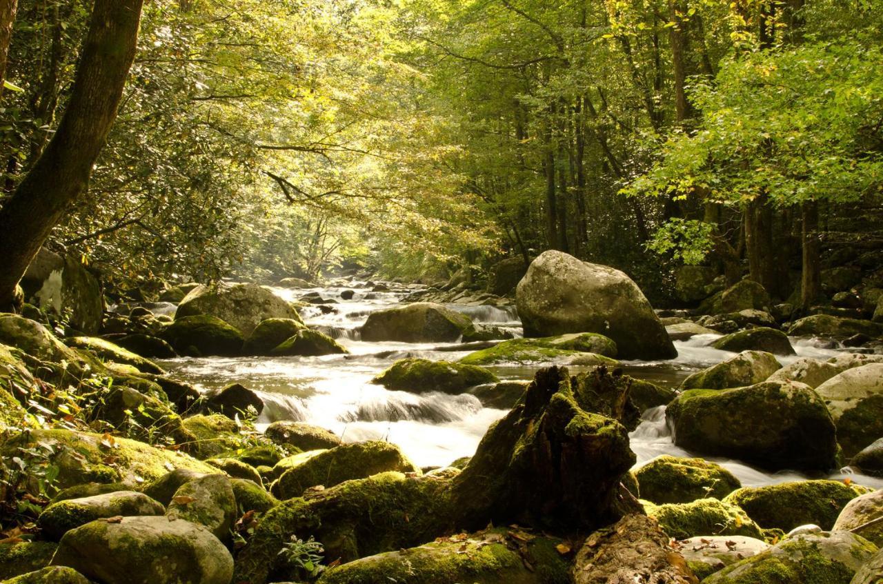 Woodland Escape Villa Pigeon Forge Luaran gambar